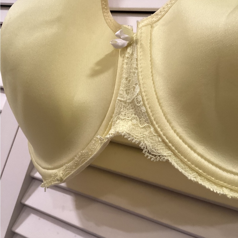 Chantelle “Paresian” Underwire Tshirt Bra 36D - Picture 11 of 14